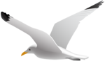 pngwing.com-4-1-e1714057210838.png pngwing.com-4-1-e1714057210838.png